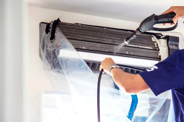 Air Duct Mold Removal in MI