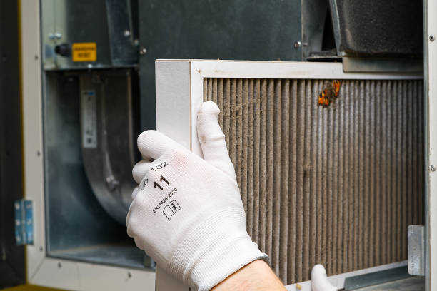 Best Ductwork Cleaning Services  in Essexville, MI