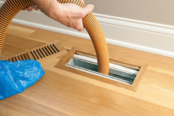 Best Air Duct Sanitizing Services  in Essexville, MI