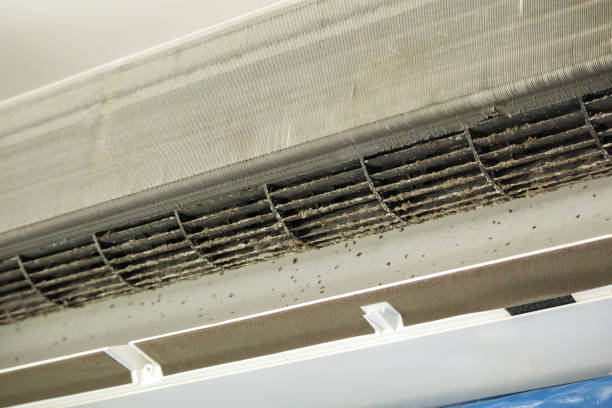 Best Affordable HVAC Duct Cleaning  in Essexville, MI