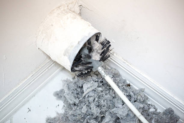 Best Air Duct Cleaning Company Near Me  in Essexville, MI